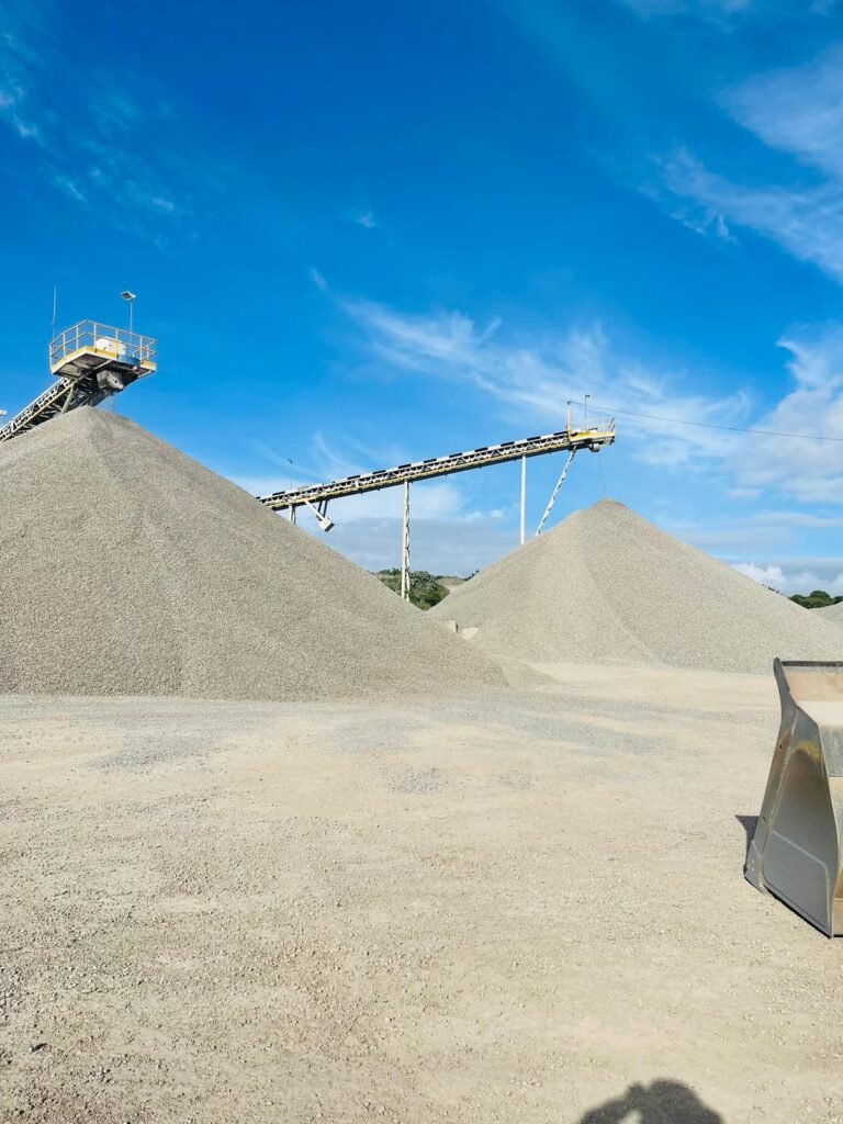 WhatsApp Image 2025-03-12 at 2.09.19 PM